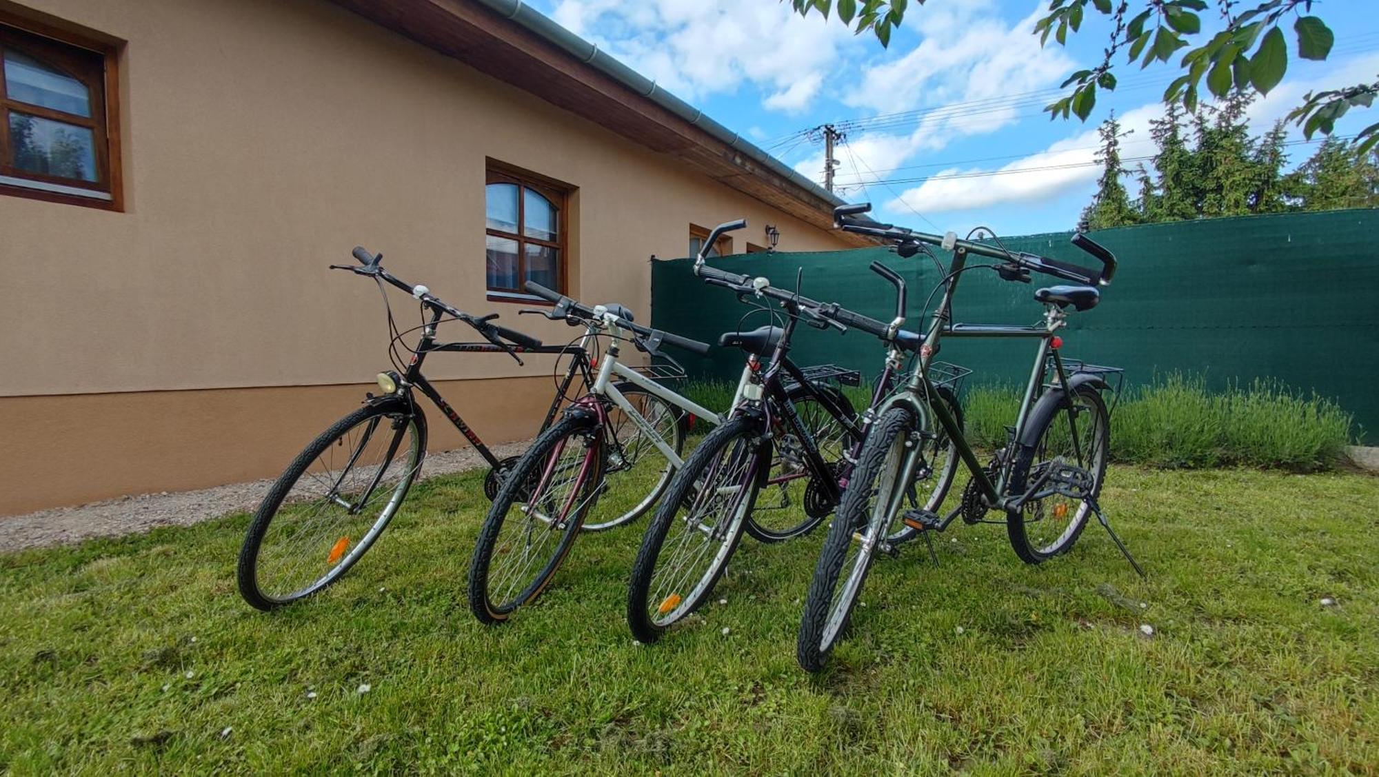 Limonade Apartman Ac Agard Elmenyfuerdo Mellett Gárdony Eksteriør billede